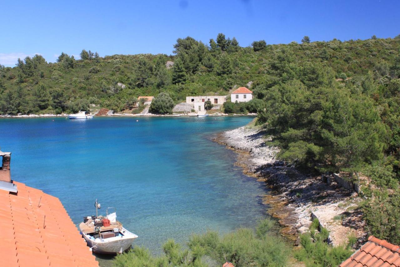 Karkavac - Scedro 8801a Apartment Jelsa (Hvar)